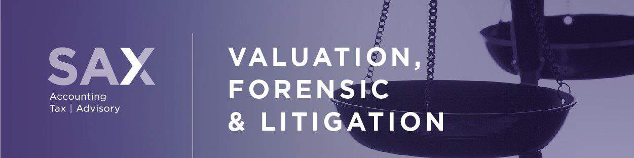 Valuation, Forensic & Litigation banner