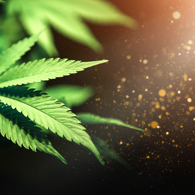 NJEDA Cannabis Program To Begin